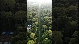 Skybridge Through the Jungle | Highway Flyover Mega Construction Timelapse