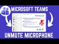 How To check And Unmute Microphone In Microsoft Teams