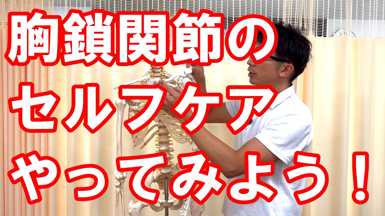 肩の動きもよくなる！？胸鎖関節ってなに？～肩甲骨まわりで唯一、体幹部とつながる関節を動かしてみよう！～