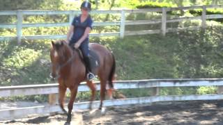 lesson raws