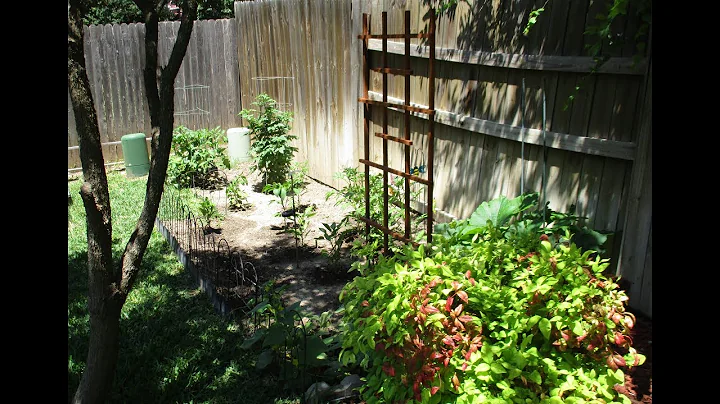 2018 Candace S. Ellison Memorial Garden