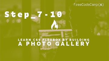 *UPDATED Learn CSS Flexbox by Building a Photo Gallery: Solutions Step 7-10 / freeCodeCamp
