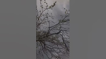 Thumbnail of Alexandre Tharaud - Gnossienne: No. 1 | Scenery by Ачитмаa