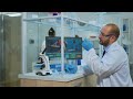 🌐 The Fox-P2 Language Gene: The Unifying Element...