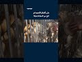 حتى أشبال الأسود لم تنجُ من المجاعة بغزة