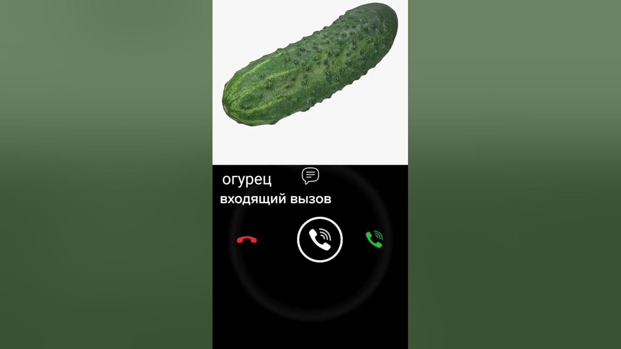 вам звонит огурец - YouTube