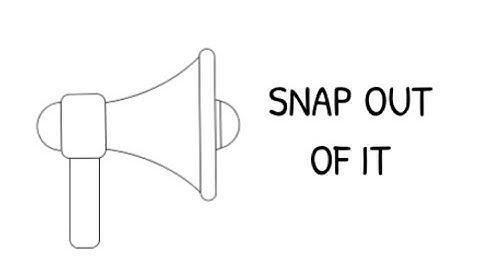 SNAP Out of It: Systems Mapping Project for Hawai