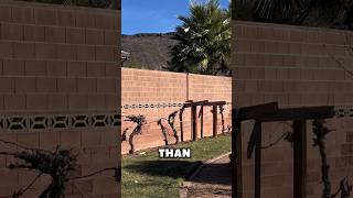 How To Win Every Paper Airplane Competition