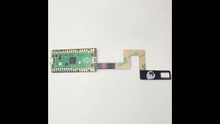 PicoBoot DOL-001 Flex PCB Install
