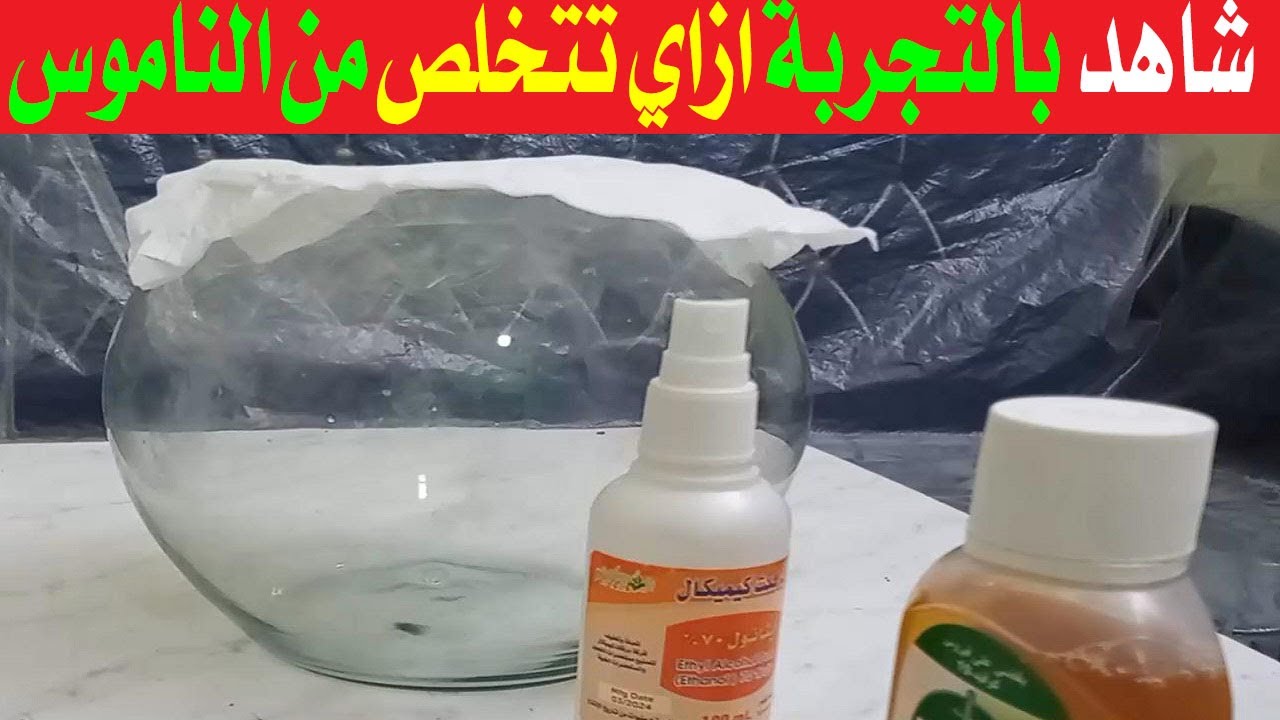 #مبيد_حشري منزلي رهيب! اكتشف كيفية التخلص من الحشرات الطائرة الصغيرة في البيت بدون تعب