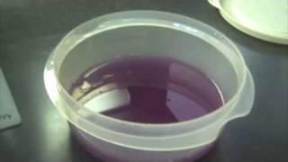 Red Cabbage pH Indicator