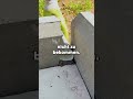 WAS hat der FREUND deiner TOCHTER getan?! #shorts #redditstorie #satisfying #geschichten