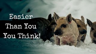 The SECRET on How To Keep Pigs Through Winter on YOUR Homestead