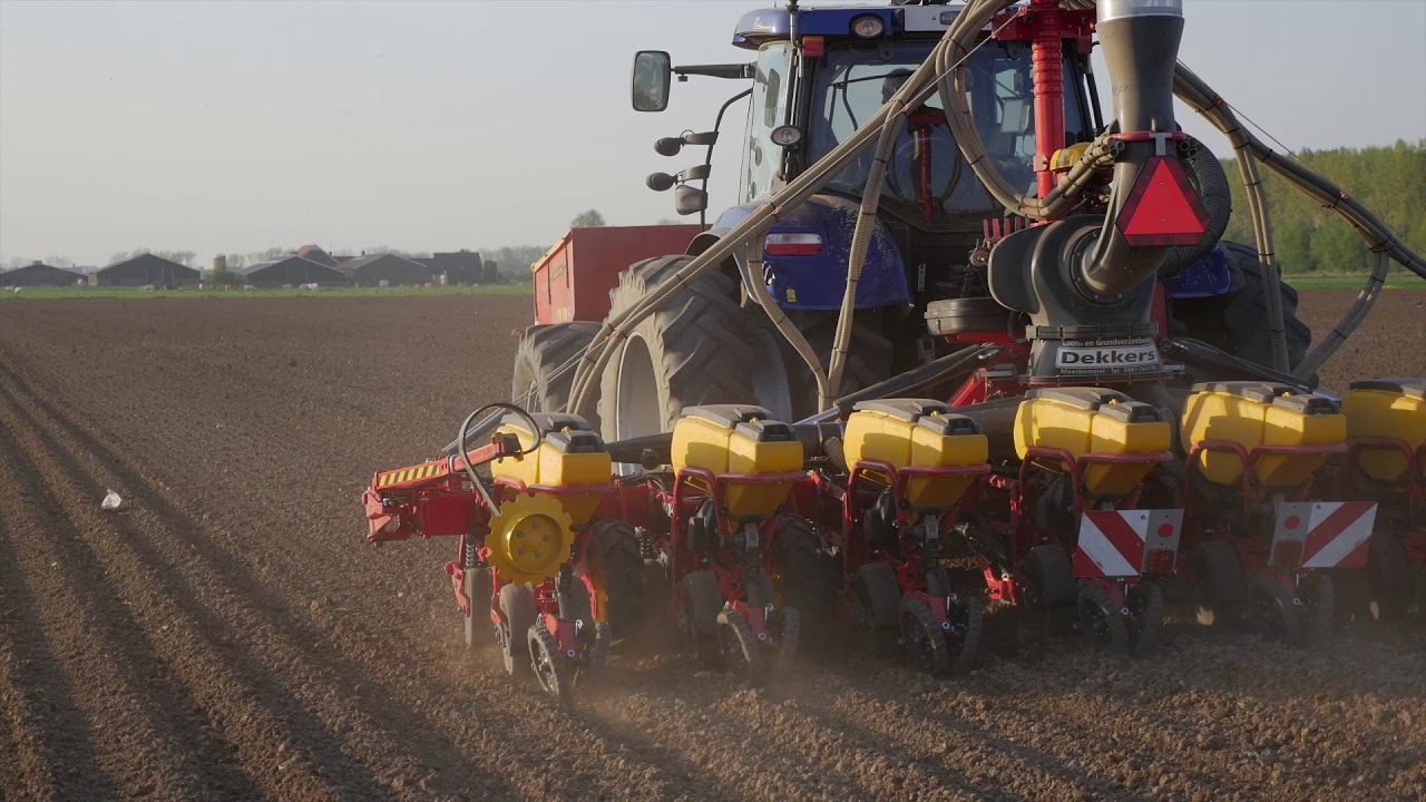 Groei van mais, vanaf grondbewerking, zaaien, groei tot volwassen plant.