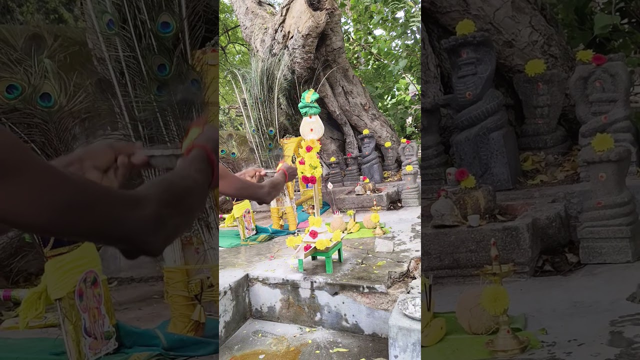 வெற்றிவேல் முருகனுக்கு அரோகரா 