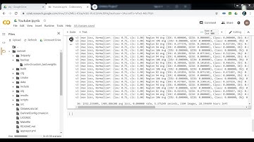Custom Object Detection on Google Colab in Hindi (YOLO DARKNET) - Part 6