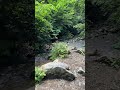 Babbling Of The River June
