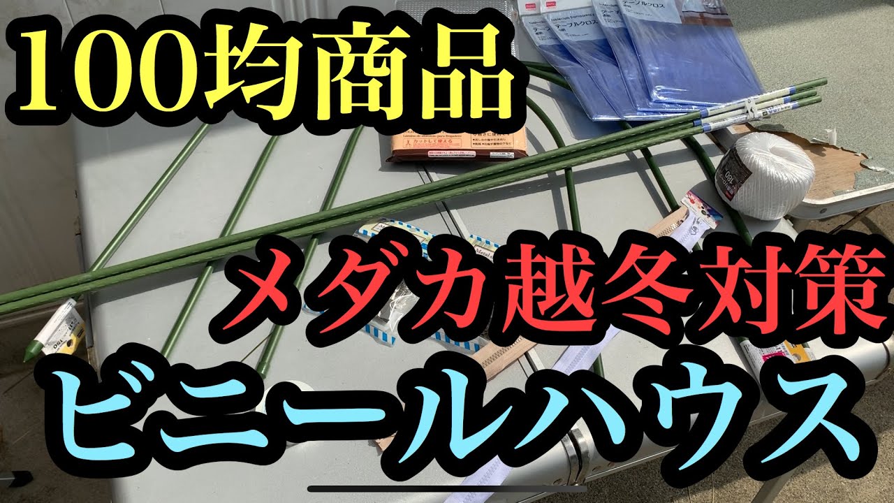 注目 メダカの越冬対策100均商品でビニールハウス作ってみた Youtube