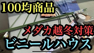 【注目】メダカの越冬対策100均商品でビニールハウス作ってみた！！