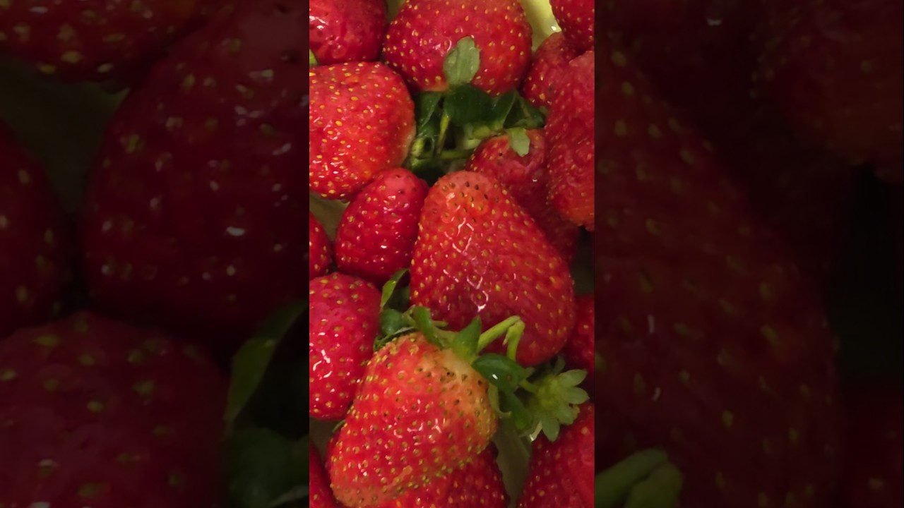 Testing wine.Huge strawberry.#cabernetsauvignon #wine #strawberry