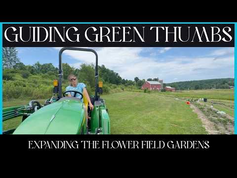 EXPANDING THE FLOWER FIELD GARDENS