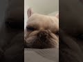 When You Wake Up But Your Soul Is Still Asleep 