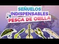 Los mejores señuelos para pescar de orilla (+10 señuelos)