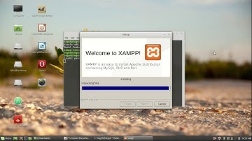 how to install xampp or lampp on linux mint