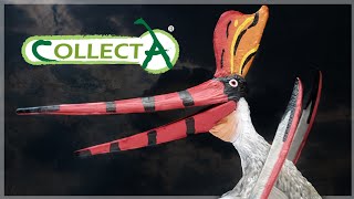 2022 Collecta Pteranodon Sternbergi Review!!!