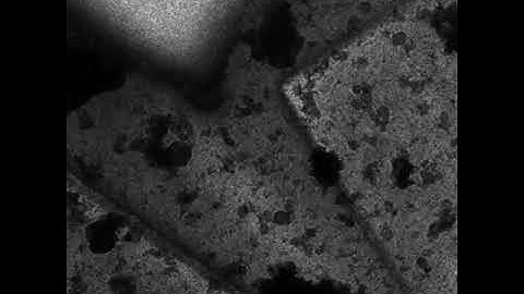 Real-time TEM observation of dynamic liquid-vapor interface at nm (3/7): Brownian motion in liquid