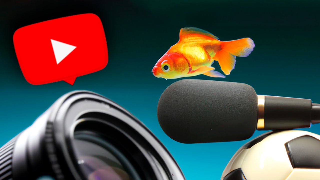 CANAIS ANTIGOS DO YOUTUBE - Fish Ball Cast