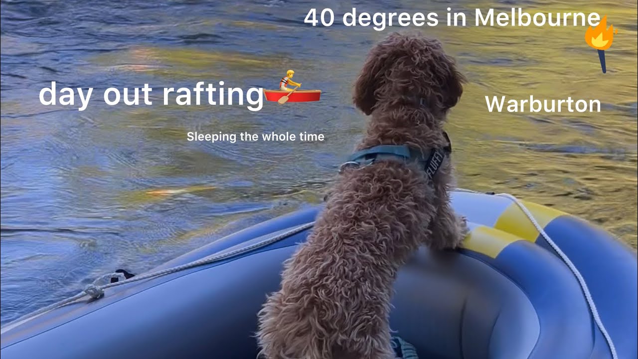 “Day Out in Warburton| Rafting & Nature”-birds chirping music 