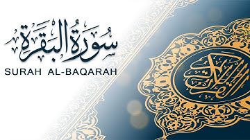 الشيخ عبد الحليم حسين| سورة البقرة كاملة | Surah al baqara | Sh. abdalhaliem husain