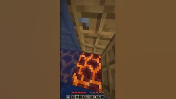 Nether Portal Speedrun #minecraft #gaming