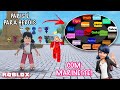 Transformaes da marinette usando vrios miraculous 1 paris  para heris  roblox