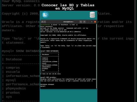 Conocer las BD y Tablas en MySQL