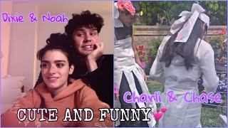 cute moments with chacha and doah\/charli and chase\/dixie and noah