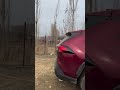 Пропаганда насилия? Кыргызстанские блогеры сняли ролик об унижении келинок