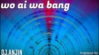 我爱佤邦-DJ安瑾-ProgHouse Mix