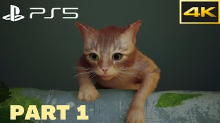 Stray Playthrough PART 1 (PS5) 4K 60fps no commentary Guide