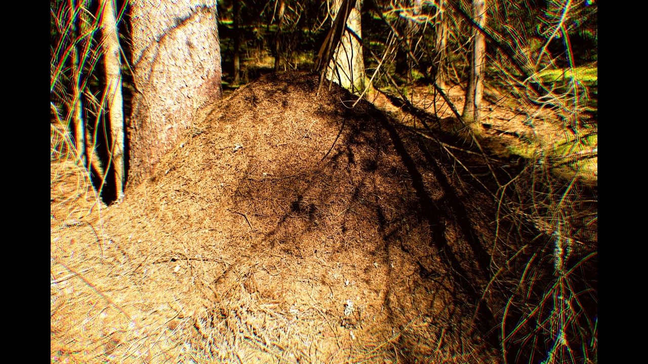 Watch leave the anthill behind — enter a world of wonder on YouTube Watch leave the anthill behind — enter a world of wonder on YouTube