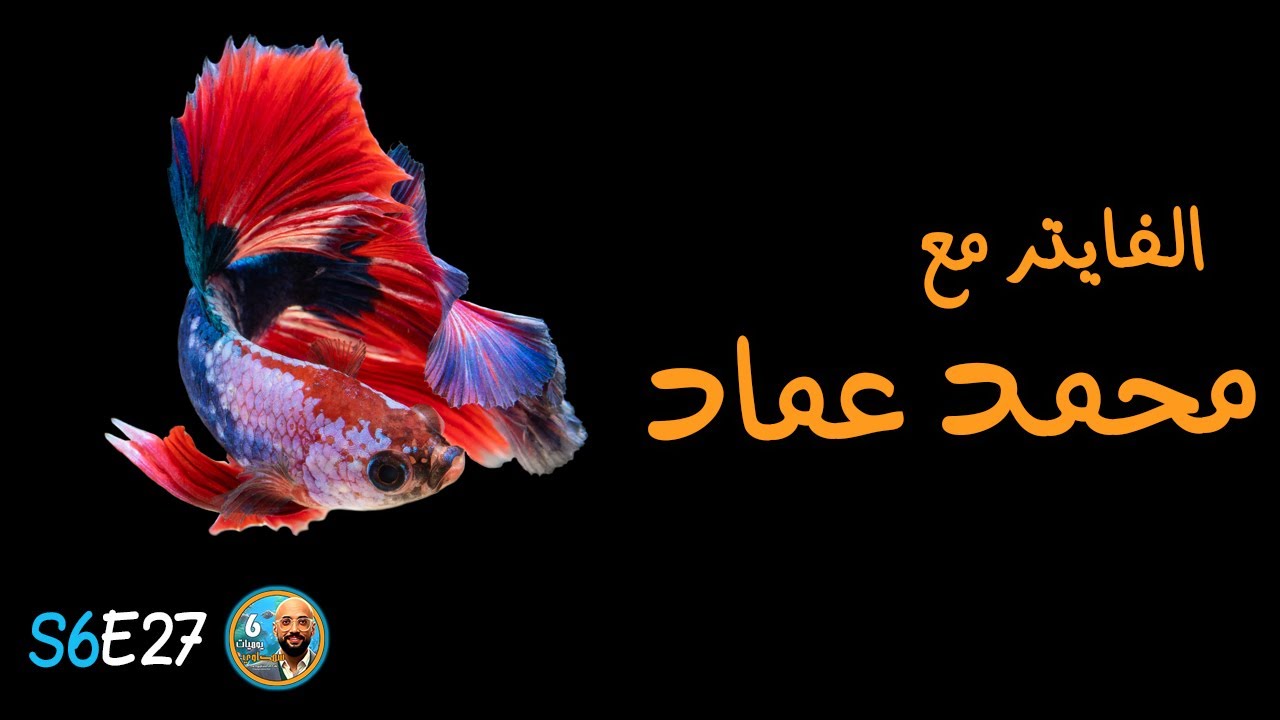 S6E27 - الفايتر مع محمد عماد