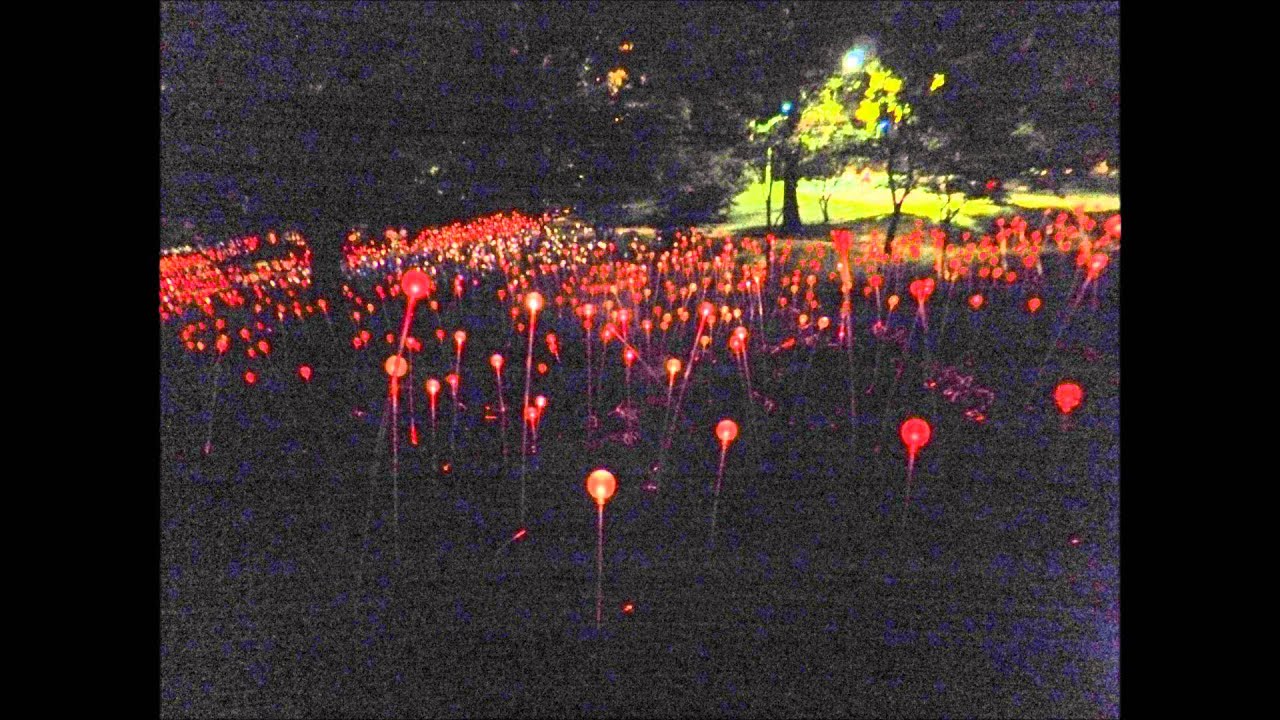 Cheekwood - Bruce Monro Light - July 26, 2013