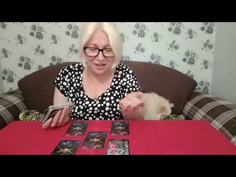 Как Дальше Будут