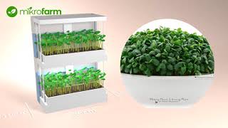 MikroFarm Twoja Mała Farma Mikro Liści