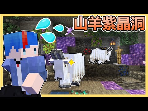 Minecraft海苔原味生存#165 新的～山羊小窩！給你們用高級的建材！不要再撞了！！！
