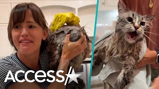 Jennifer Garner Struggles To Bathe Giant Cat