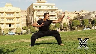 كونغ فو حركات استعراضية MARTIAL ARTS