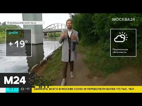 "Утро": пониженное атмосферное давление ожидается в Москве 23 июля - Москва 24