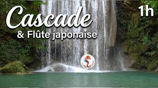 Cascade Relaxation 🌊 Flûte Japonaise & Zen – 1 heure